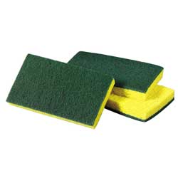 Scrub Pads and Tools